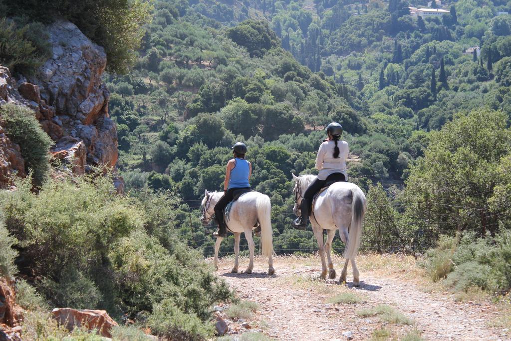 Country Hotel Velani Αβδού Εξωτερικό φωτογραφία