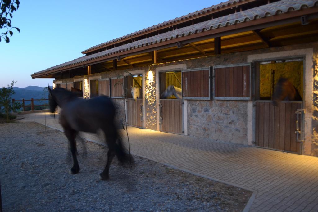 Country Hotel Velani Αβδού Εξωτερικό φωτογραφία