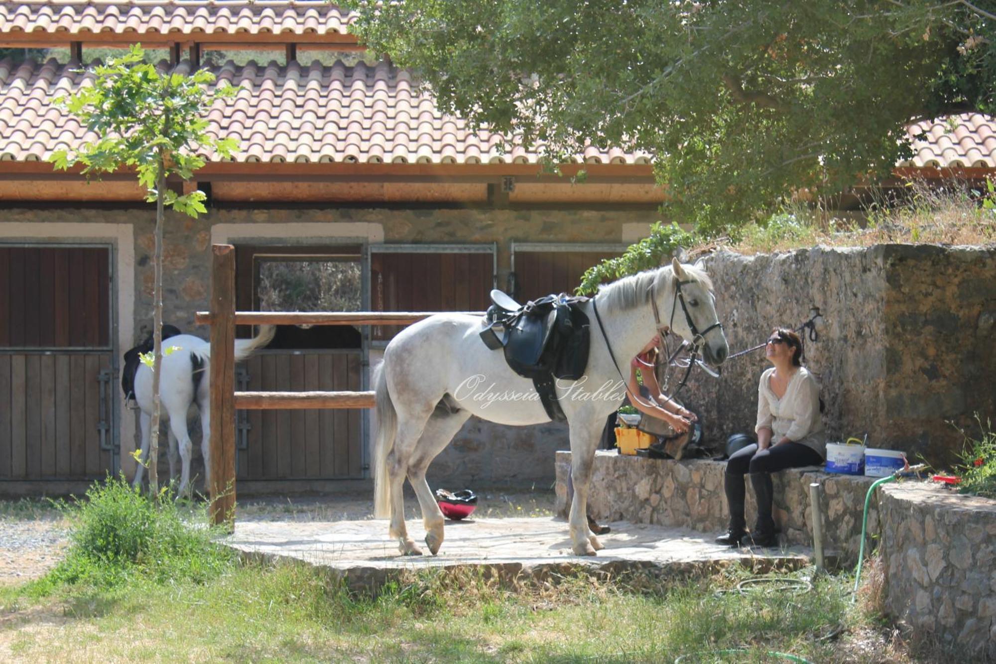 Country Hotel Velani Αβδού Εξωτερικό φωτογραφία