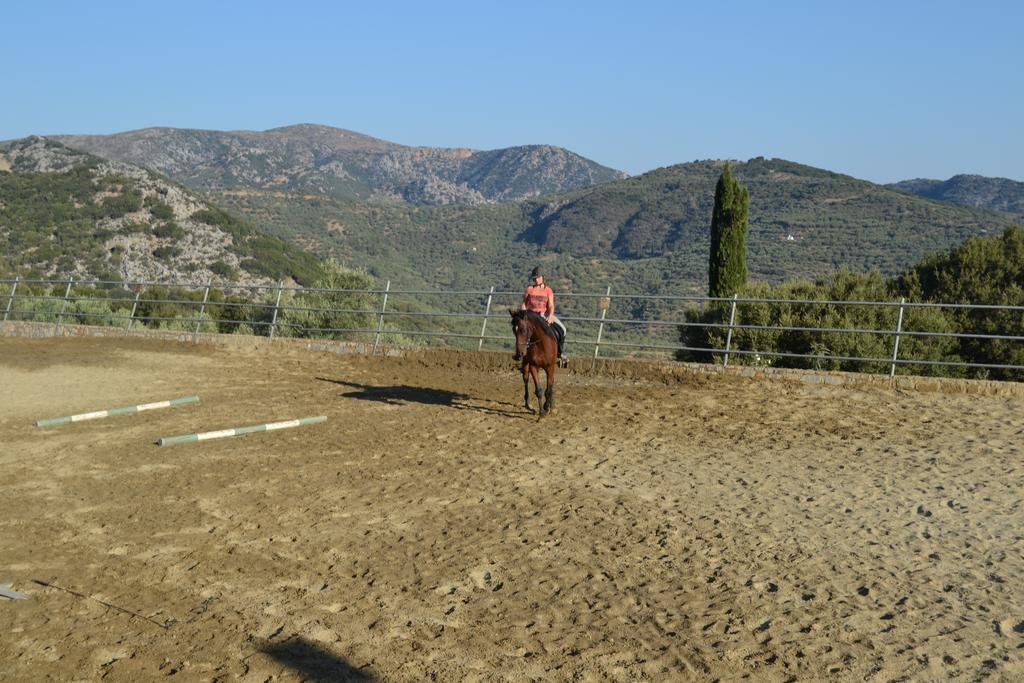 Country Hotel Velani Αβδού Εξωτερικό φωτογραφία